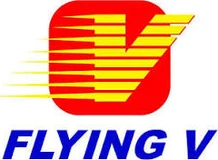 Flying V logo